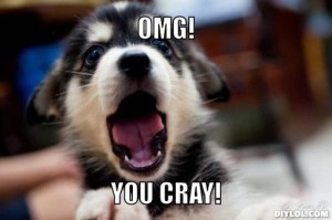 omg-dog-meme-generator-omg-you-cray-a6f014