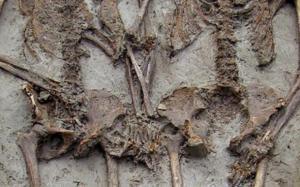 remains-of-a-couple-holding-hands