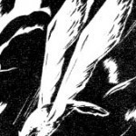 The eagle by the graphic artist Marian Walentynowicz that was the inspiration for the Polish parachute badge