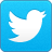 twitter48x48