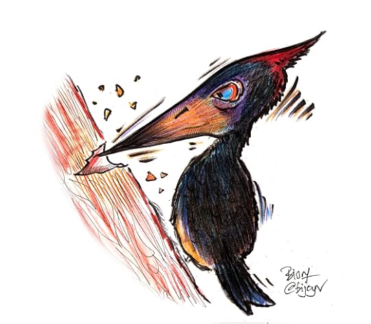 woodpecker01