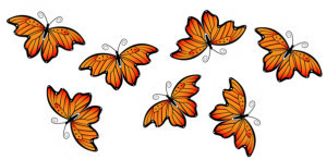 Butterflies 7