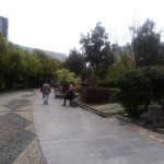 park - Things to do in Zhangjiajie - Wulingyuan day 3 (3)