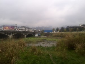Things to do in Wulingyuan, Hunan, China, Day 2 (3)