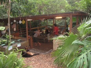 Outdoor Kitchen, Aus