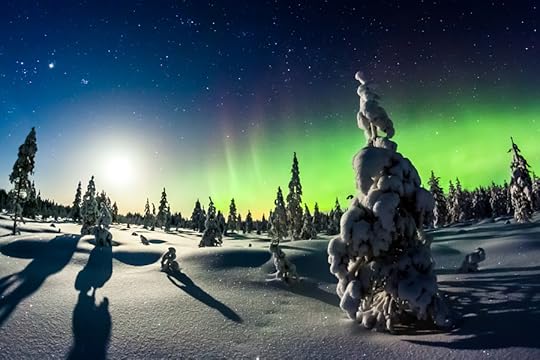 Photograph Lights of winter by Mikko Karjalainen on 500px