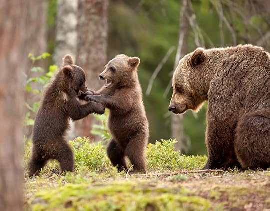 Photograph Wrestlers by Giedrius Stakauskas on 500px