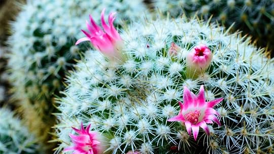 MAR15_18_prime_56904312_2