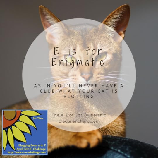 A-Z of Cats: E is for Enigmatic