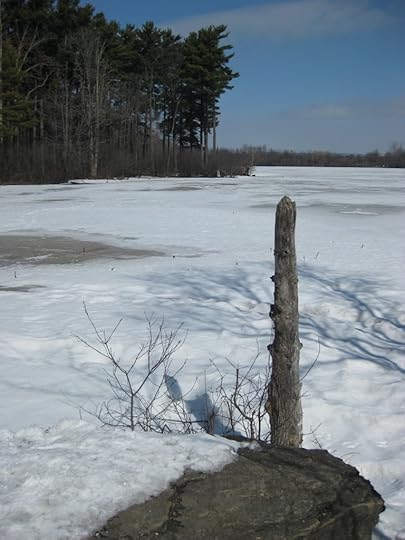 Mud Lake (2)