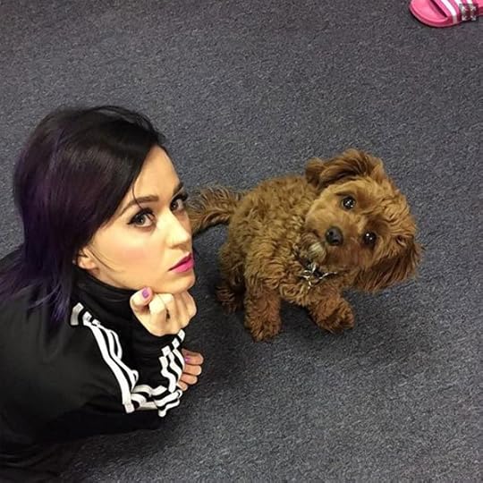 Katy Perry Accidentally Posts Her Phone Number on Social Media