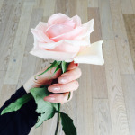 Amici che regalano fiori.