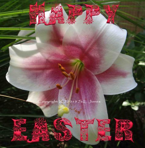 Happy Easter Lilly Copyright S.L. Jones
