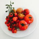 Divento rossa, paonazza, gonfia e prudodamorire. Ma continuo.