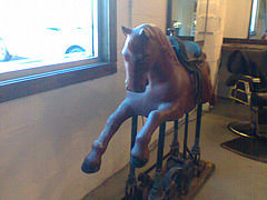 horse