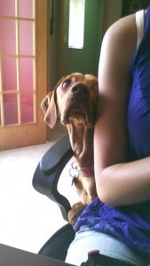 Sharing a chair, looking up to my wisdom