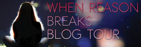 WhenReasonBreaks_blogtourbanner