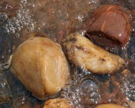 shiney-wet-pebbles-bubbles