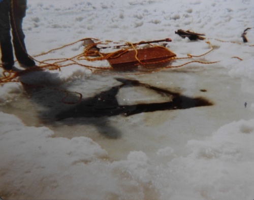 Ice Dive 1979 6.jpg