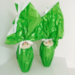 Agata l'ho preso anche per te