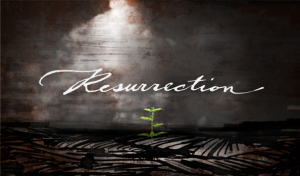 kristin-caselettoeaster-594x348