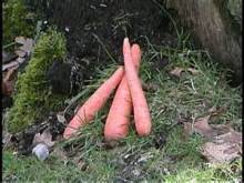 akotten2