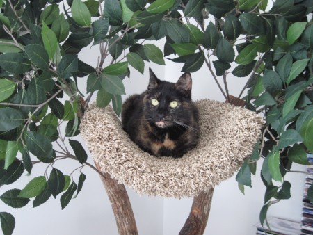 pet-tree-houses-cat-tree