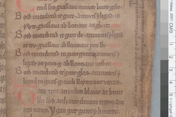A page (49r) of "The Black Book of Carmarthen" showing the stylized drawing of a dog and text in the margins.