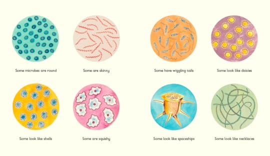 Tiny creatures 2