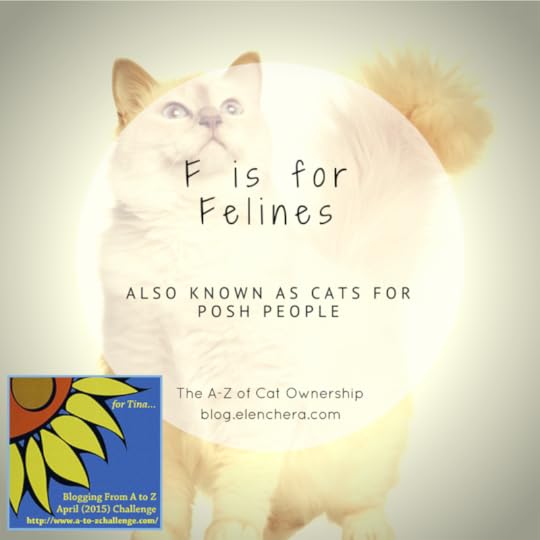 A-Z of Cats: F is for Felines
