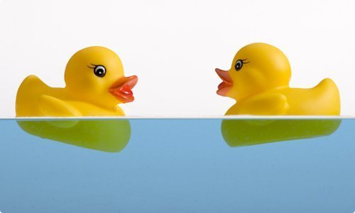 Ducks