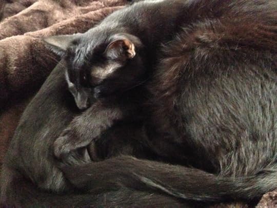 Dallas Commercial Photography