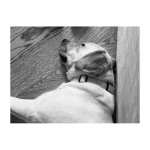 Concentrazione massima