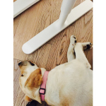 Concentrazione Massima.