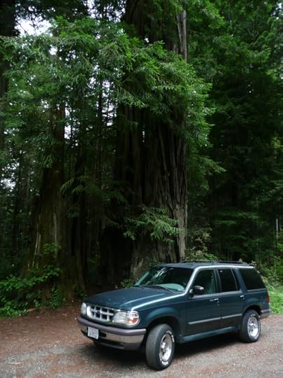 The Ford Explorer in the redwoods near Sebastopol, California.