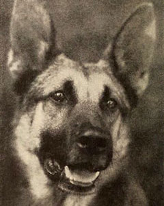 ph_Strongheart_-_Dec_1921_Photoplay240pix