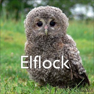 elflock