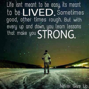 photo (20)