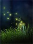 fireflies1