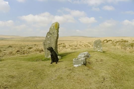 Scorhill 8