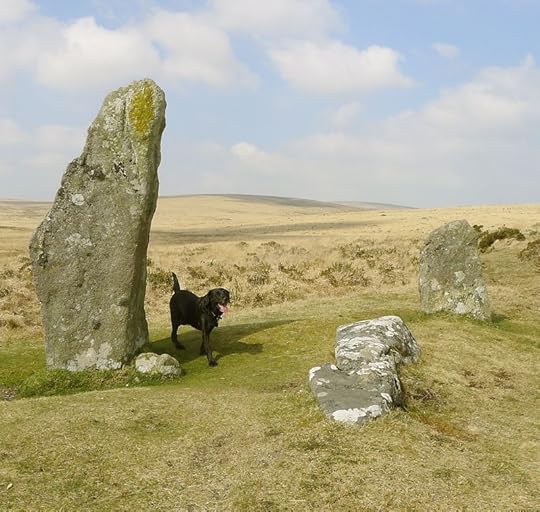 Scorhill 7