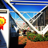 Sunny Bologna Book Fair 200