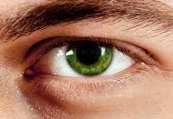  photo green-eyes-male 2_zps8tywczei.jpg