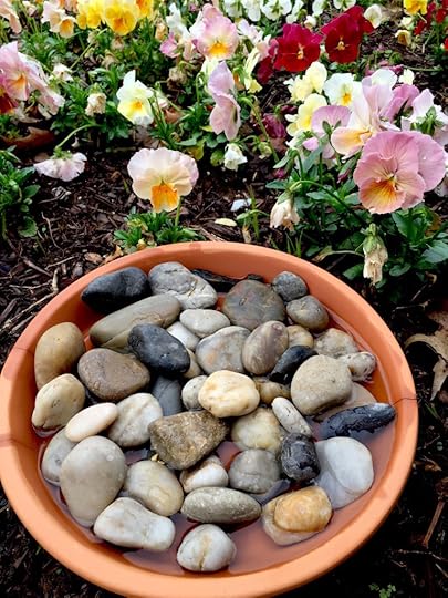 Bee Watering Hole 3