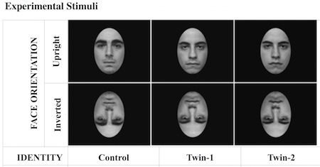 twins-faces