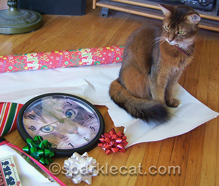 Sparkle was not impressed
