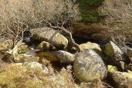 Wallabrook 2