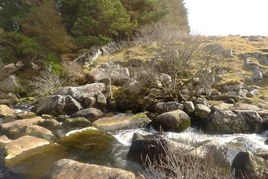 Wallabrook 4