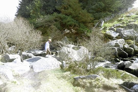 Wallabrook 7