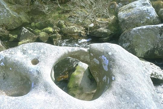Wallabrook 8